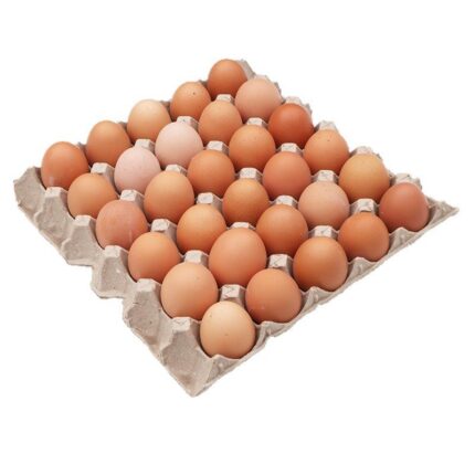 Ägg