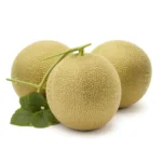 Galia Melon