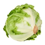 Isbergsallad