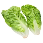 Romansallad