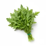 Ruccola