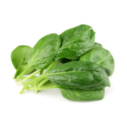 Baby Spenat