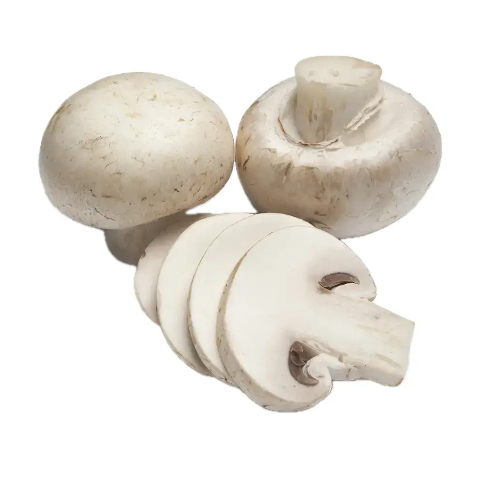 58-Champinjoner Champinjoner - Bild 1