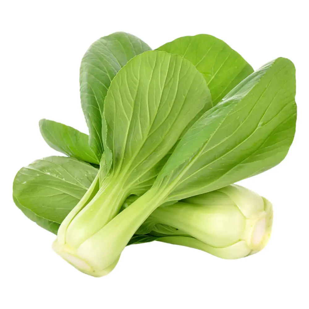 71- Pak Choi Pak Choi - Bild 1