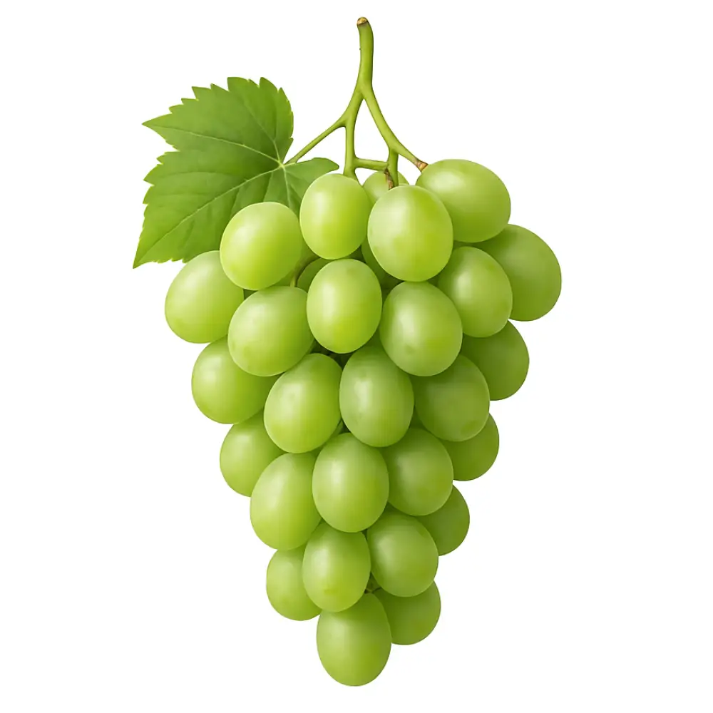 8- Druvor Grön Druvor Grön - Bild 1