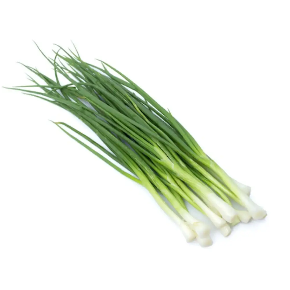 81- Grön Färsk Lök Grön Färsk Lök - Bild 1