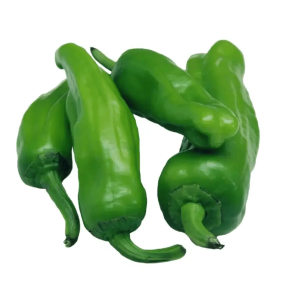 98- Köybiber Köybiber - Bild 1