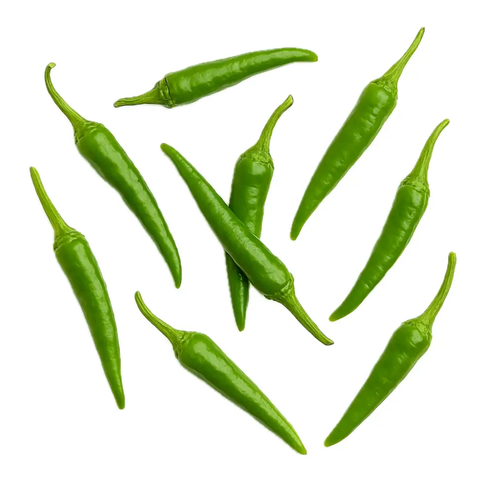 99- Cinbiber Cinbiber - Bild 1